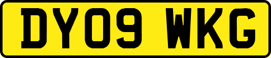 DY09WKG