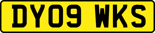 DY09WKS