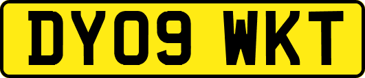 DY09WKT