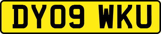 DY09WKU