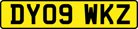 DY09WKZ