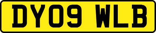 DY09WLB