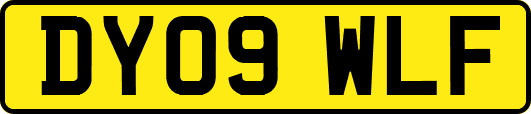 DY09WLF