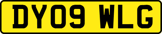 DY09WLG