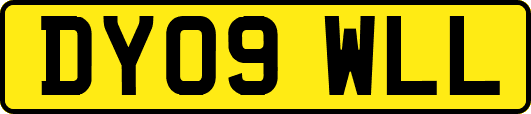 DY09WLL