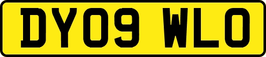 DY09WLO