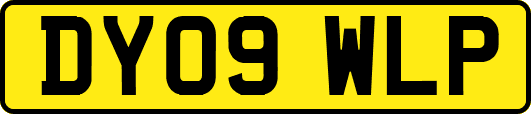 DY09WLP