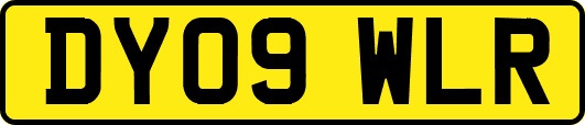 DY09WLR
