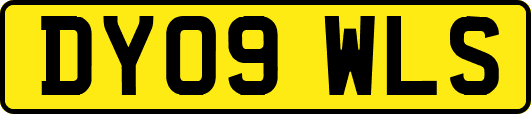 DY09WLS