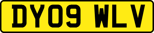 DY09WLV