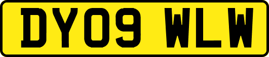 DY09WLW
