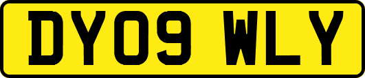 DY09WLY