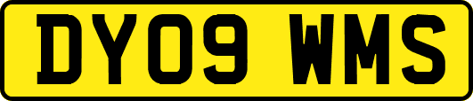 DY09WMS