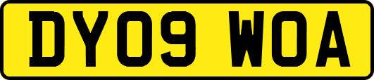 DY09WOA