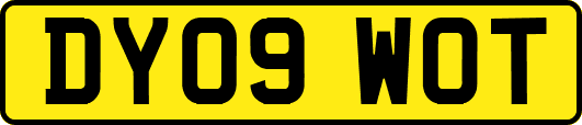 DY09WOT