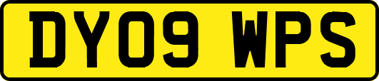 DY09WPS