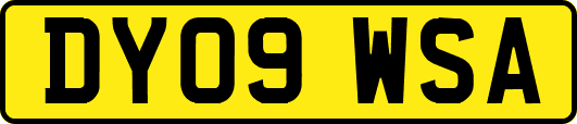 DY09WSA