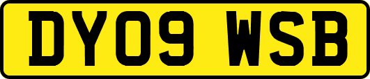 DY09WSB