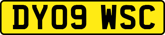DY09WSC
