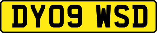 DY09WSD