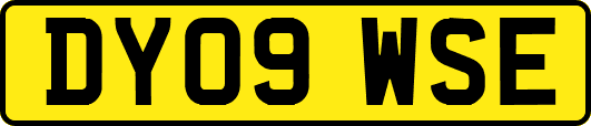 DY09WSE