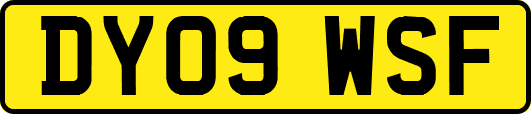 DY09WSF