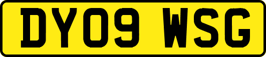 DY09WSG
