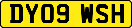 DY09WSH