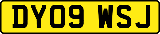 DY09WSJ