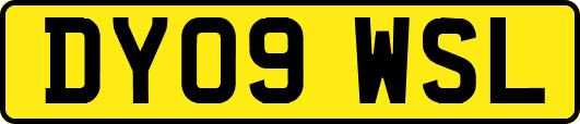 DY09WSL