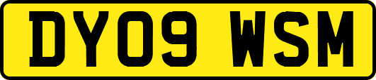 DY09WSM