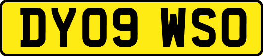 DY09WSO