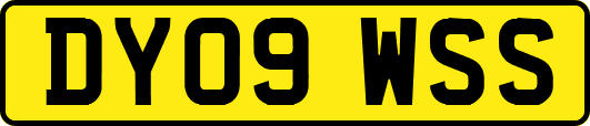DY09WSS