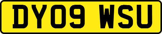 DY09WSU