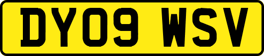DY09WSV