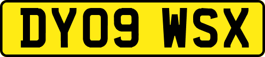 DY09WSX