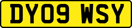 DY09WSY