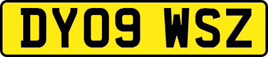 DY09WSZ