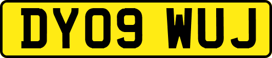 DY09WUJ