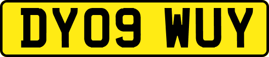 DY09WUY