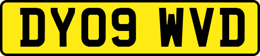 DY09WVD