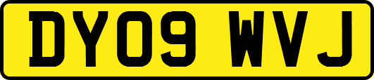 DY09WVJ