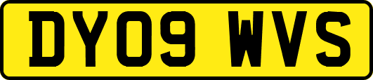 DY09WVS