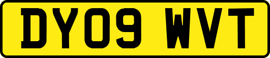 DY09WVT
