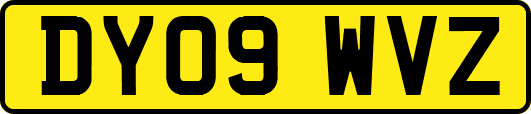 DY09WVZ