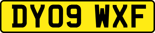 DY09WXF