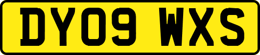 DY09WXS