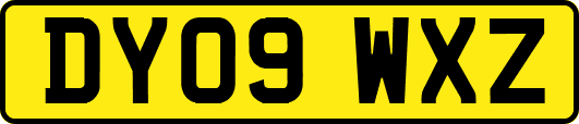 DY09WXZ