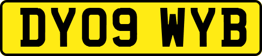 DY09WYB
