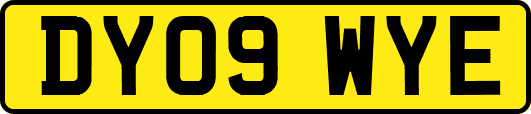 DY09WYE